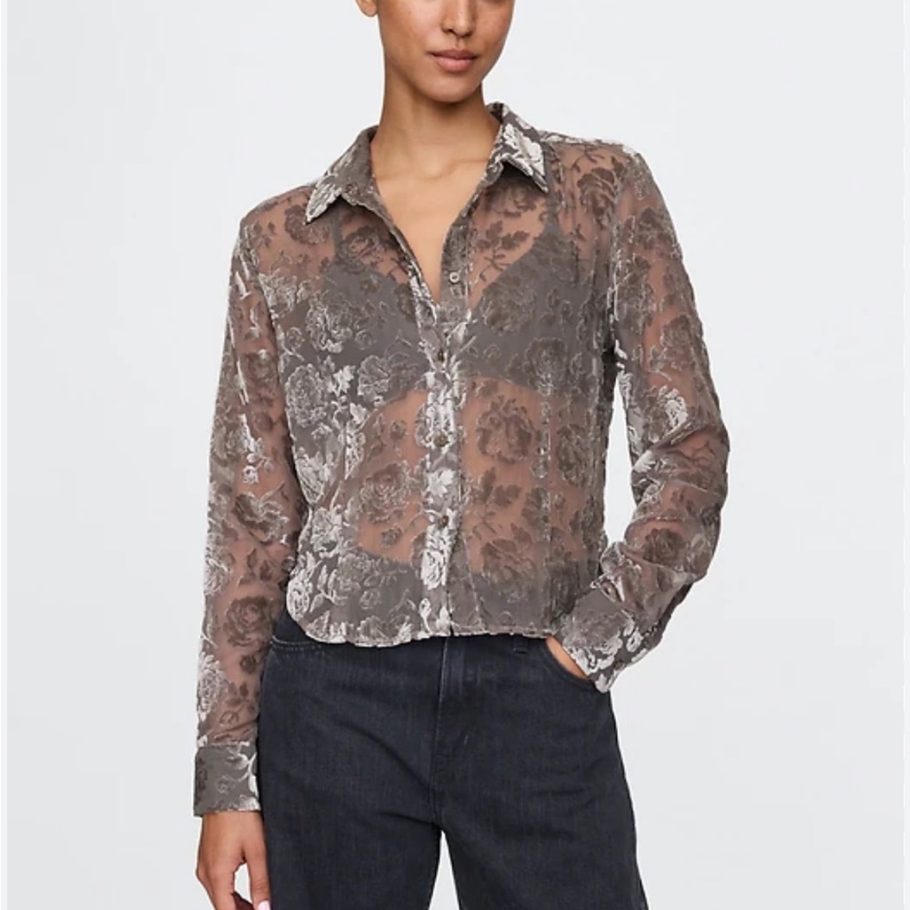 Gap Recycled Ethereal Velvet Crop Top Vintage Gray Brown Boho Small